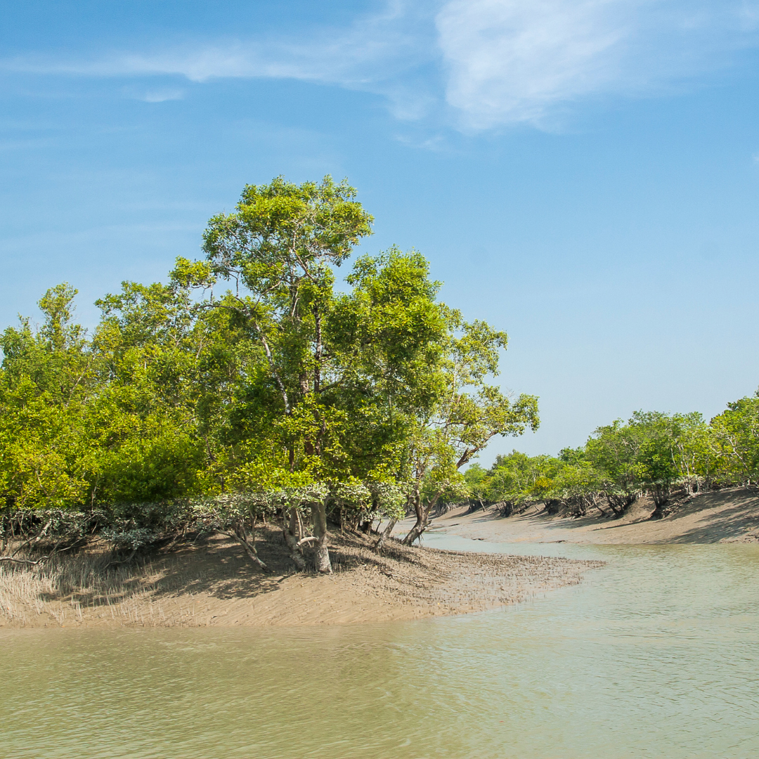 Dooars Travel Guide